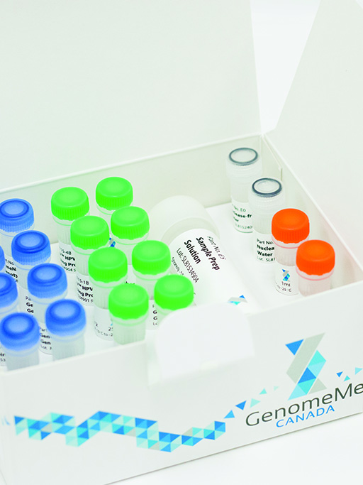 GeneNav™ HPV Genotyping qPCR Kit